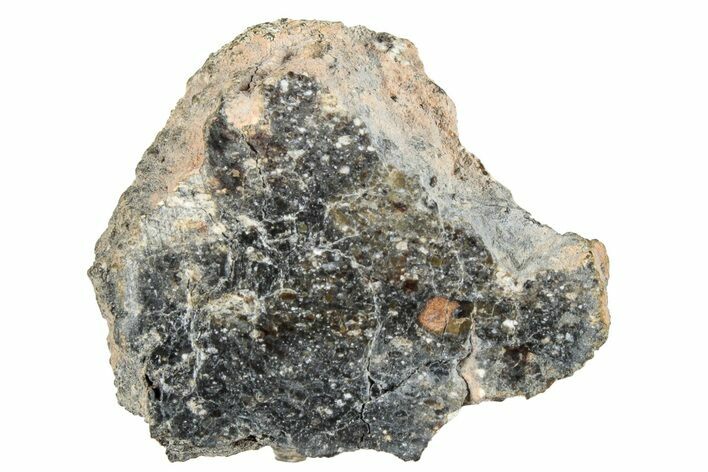 Polished Howardite Meteorite Section ( g) - Bechar #286971